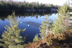 9 ton X 1.5 inch lake loop