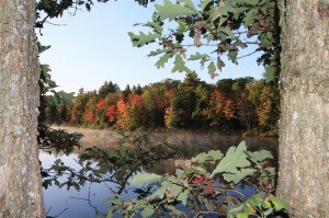 Shoreline development
